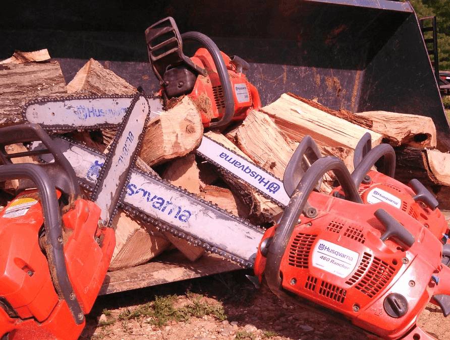 Tree Removal