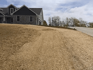 Seeding, Fertilizing, and Lawn Renovations